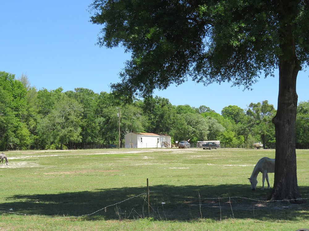 C. E. McDougal Your Local Real Estate Agent